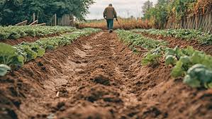 agricultura2