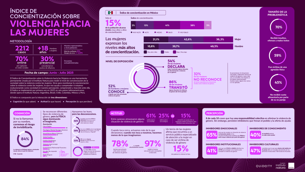 infografía índice (4)
