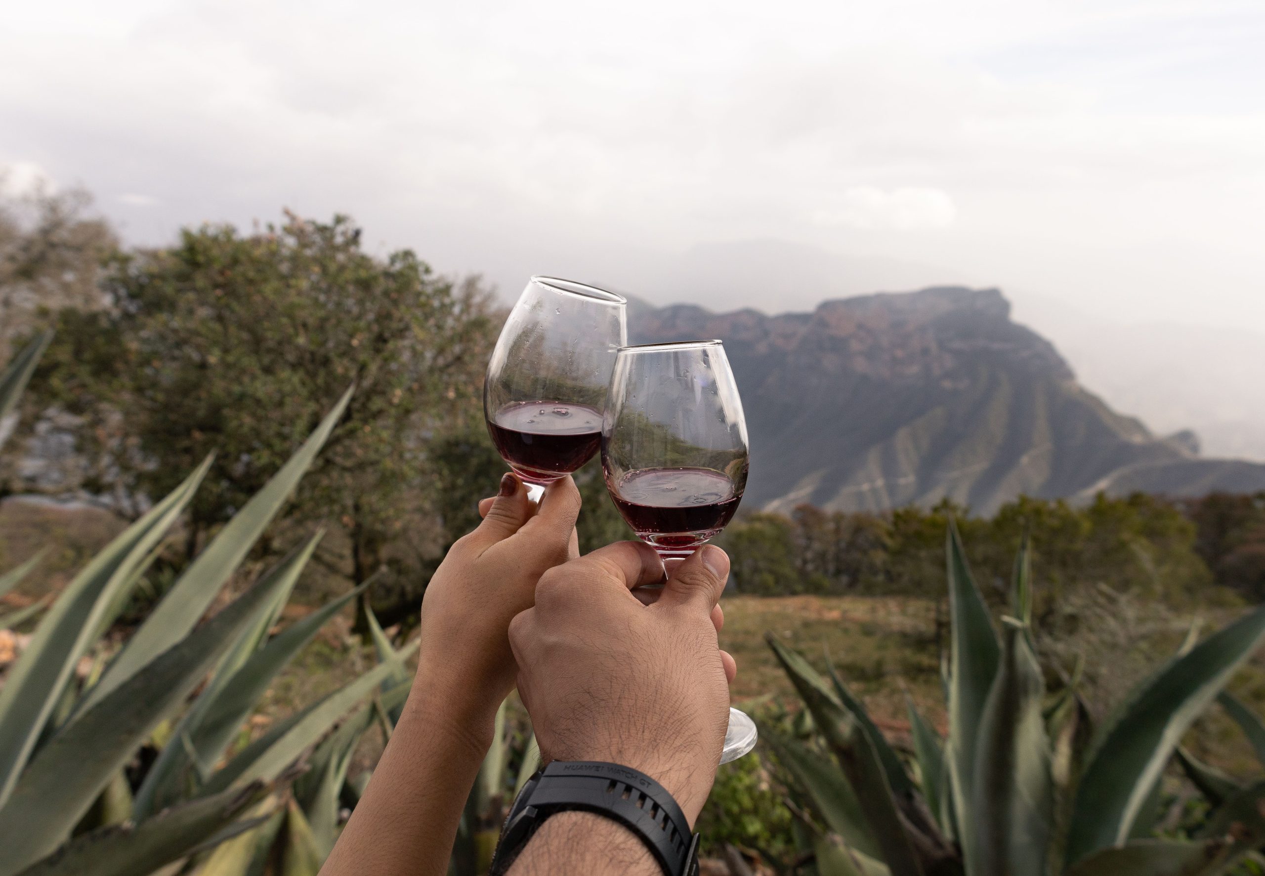 El mercado global de bebidas sin alcohol crece 13 % impulsado por nuevos hábitos de consumo en reuniones sociales Two people toasting red wine against a stunning mountain backdrop in Pinal de Amoles, Mexico.