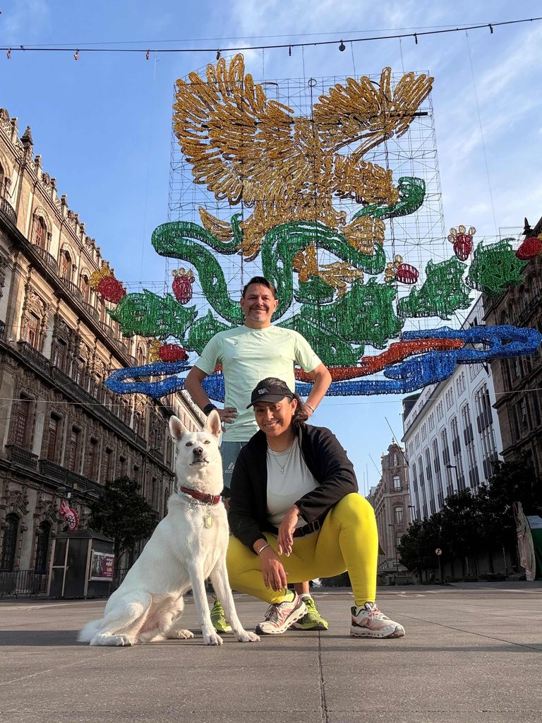 mascotas en mexico