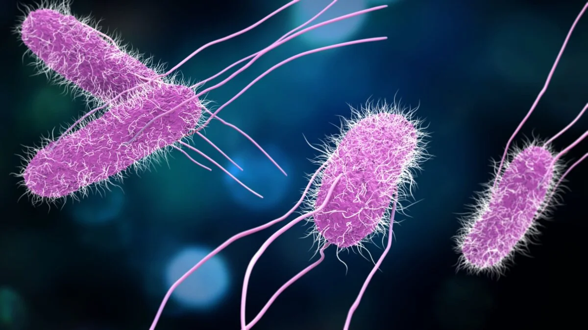 ¿Salmonella u otra infección? Nueva tecnología de QIAGEN identifica 23 patógenos gastrointestinales en una hora Laboratorio clínico de diagnóstico molecular para detección rápida de patógenos gastrointestinales