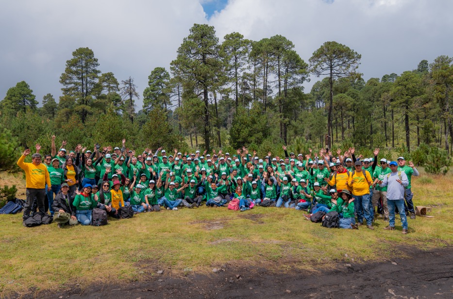 Reforestacion Pinol Fundacion AlEn bosques de pino Izta Popo Nevado de Toluca sustentabilidad