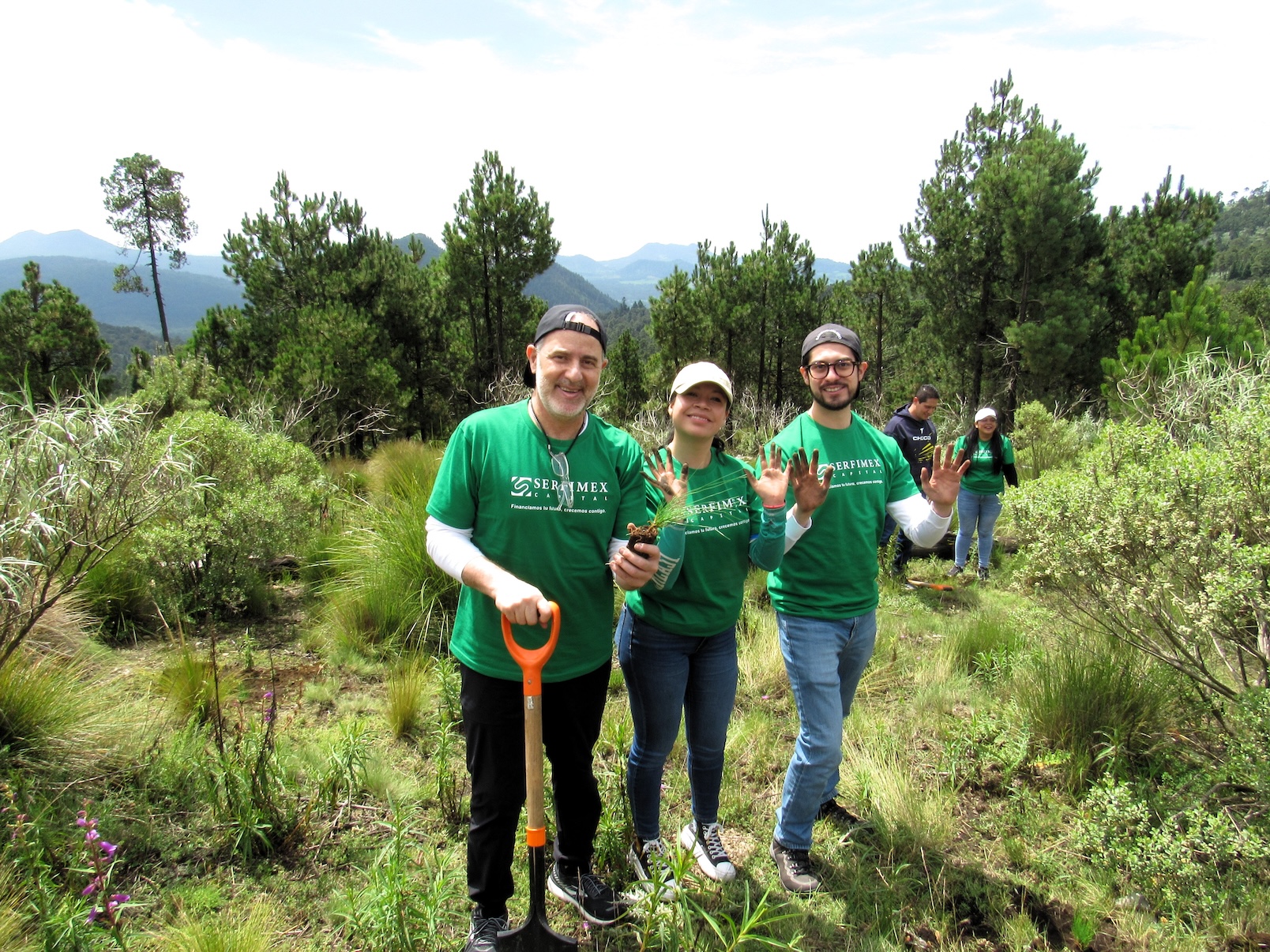 Jornada de reforestación corporativa y plantación de pinos en zona boscosa de conservación