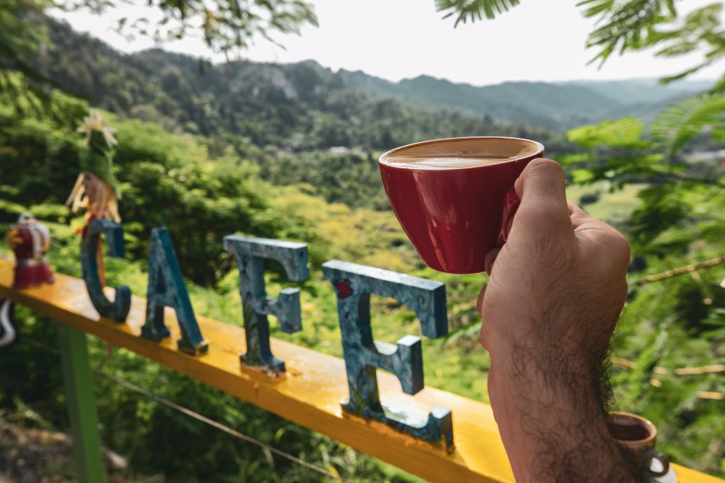 Turismo rural y café de especialidad: La Cordillera Central de Puerto Rico impulsa el desarrollo agrícola sostenible Plantación de café de altura y paisaje montañoso para agroturismo sostenible