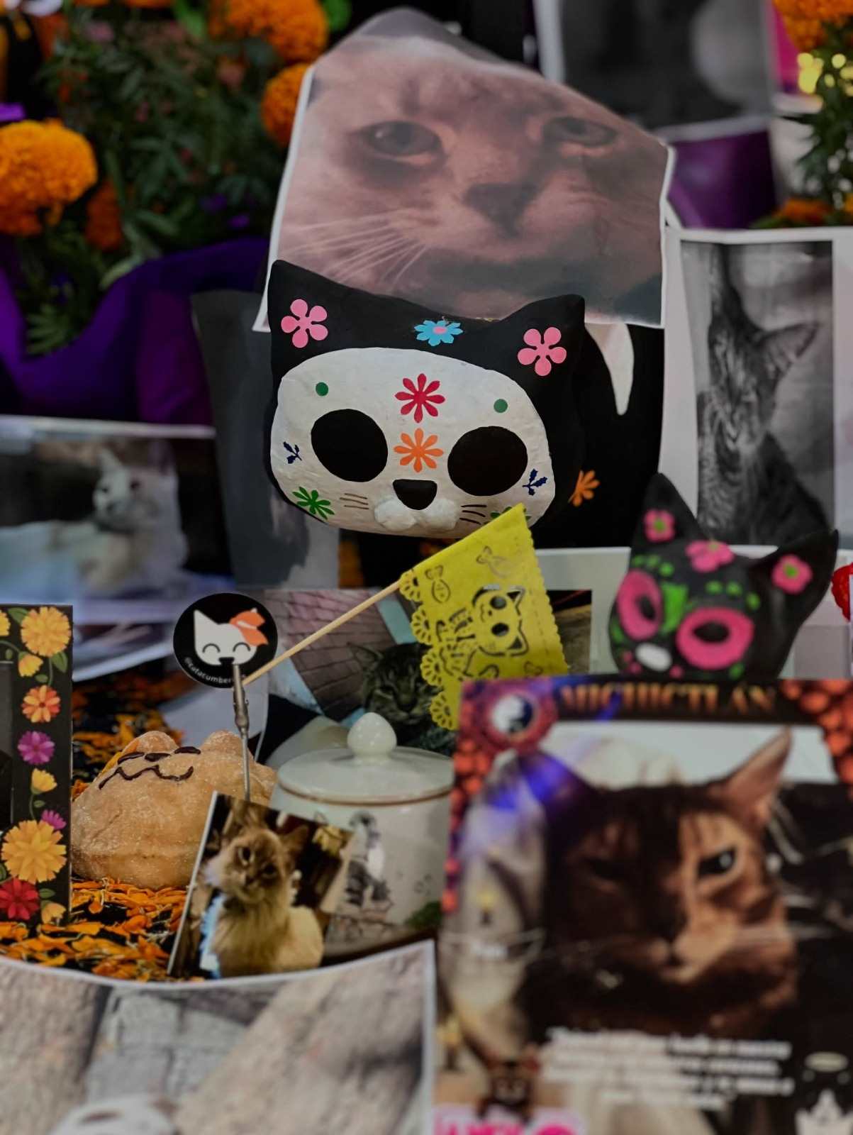 ¡Llega Miau Fest Encantado & Michictlán 2026! michi2