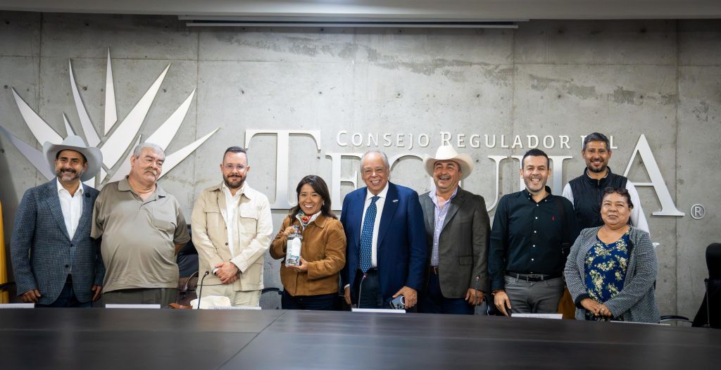 Plantación tradicional de agave azul bajo el sol en los valles tequileros de Jalisco