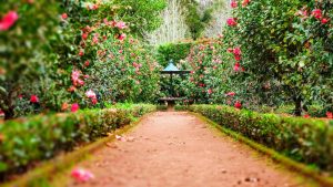 Jardín botánico costero de inspiración neoclásica y paisajismo frente al mar en Mazatlán