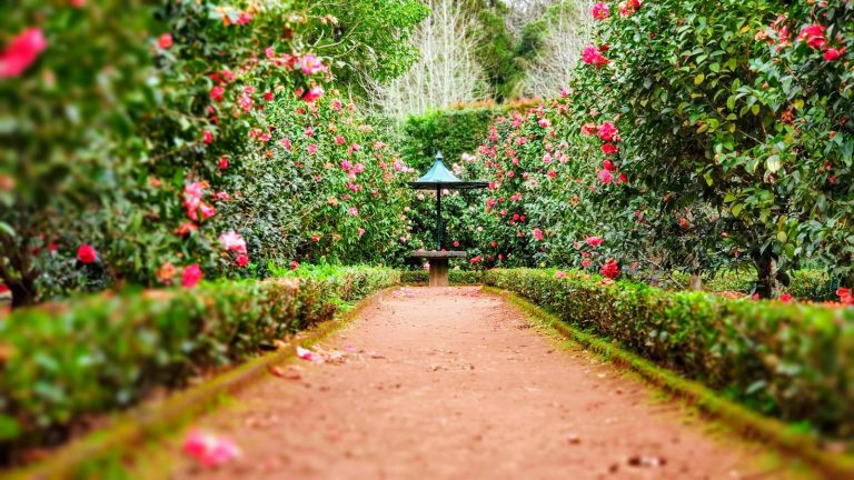 Jardín botánico costero de inspiración neoclásica y paisajismo frente al mar en Mazatlán